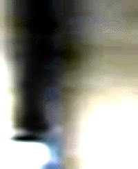 e0103408_23291818.gif