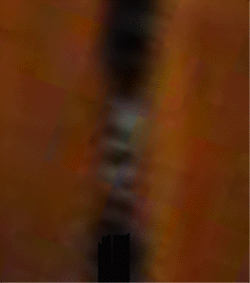 e0103408_2335918.gif