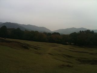 b0183911_23225920.jpg