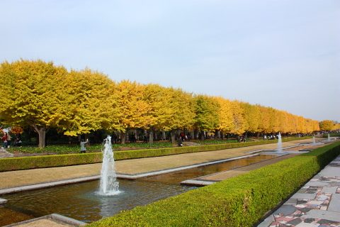 d0077811_23523744.jpg