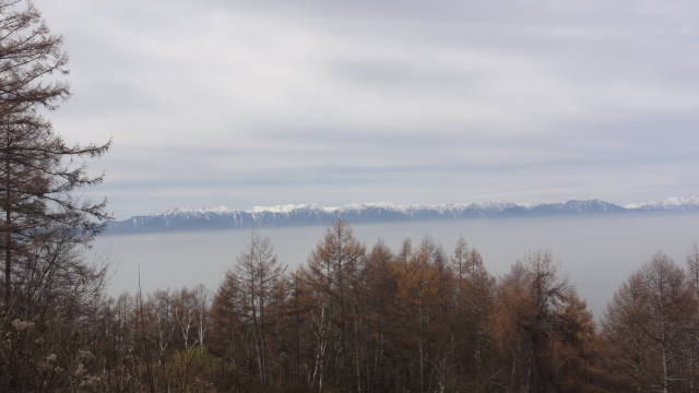 f0233414_0452738.jpg