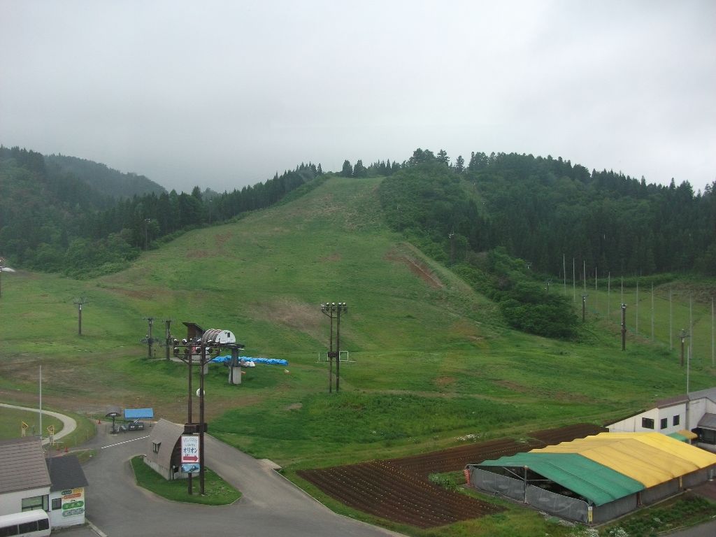 d0197317_914333.jpg