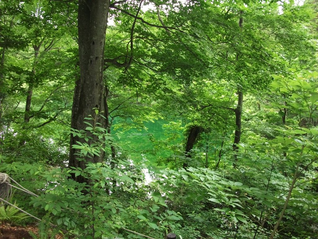 d0197317_914369.jpg