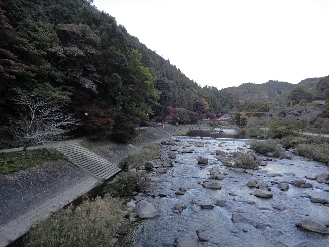 f0127021_2074030.jpg