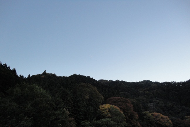 f0127021_208635.jpg