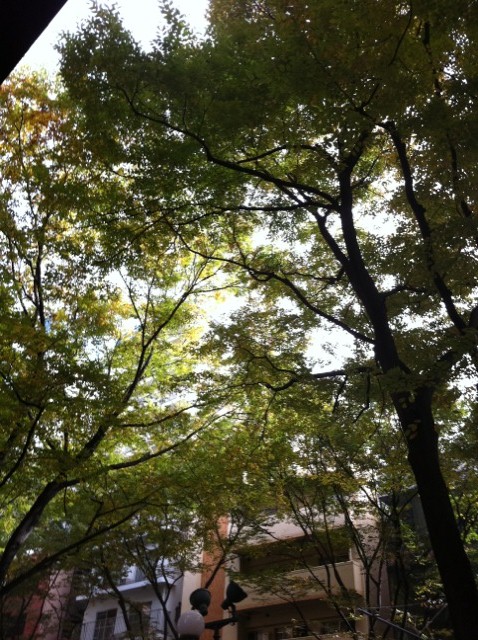 c0134522_2255462.jpg