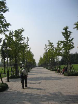 a0105023_22131672.jpg