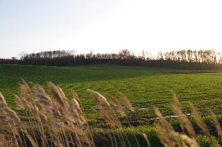 f0181524_22531577.jpg