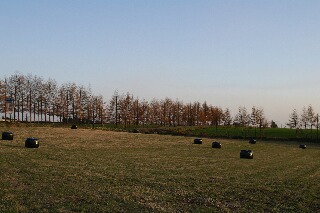 f0181524_22534328.jpg