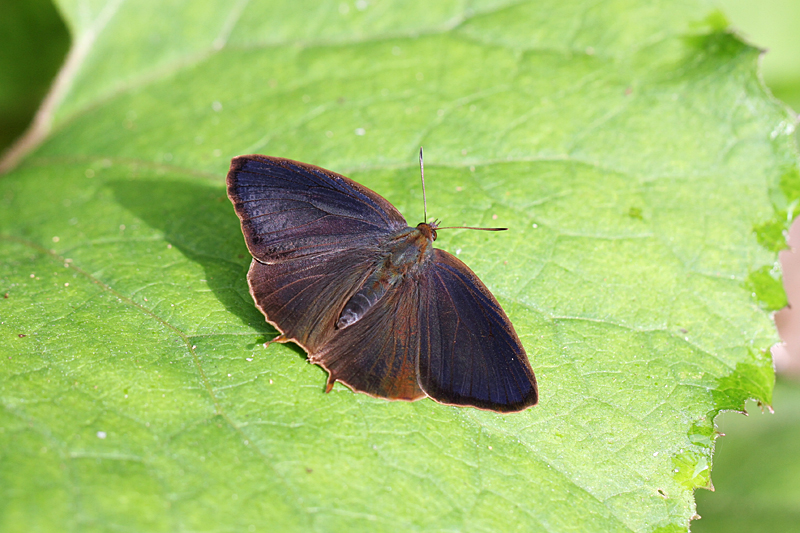 d0054625_2315056.jpg