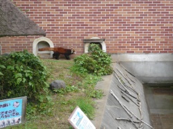 b0132630_16572040.jpg