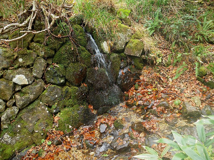 f0118332_2212159.jpg