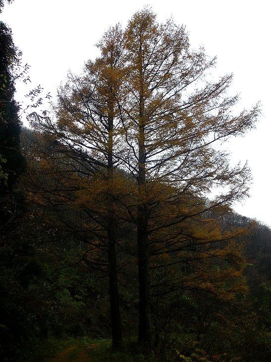 f0118332_22364273.jpg