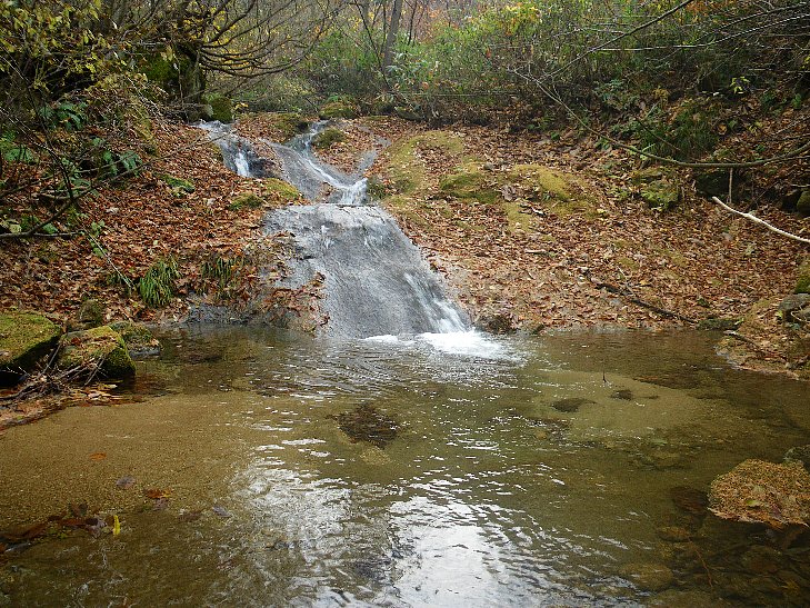 f0118332_22365583.jpg