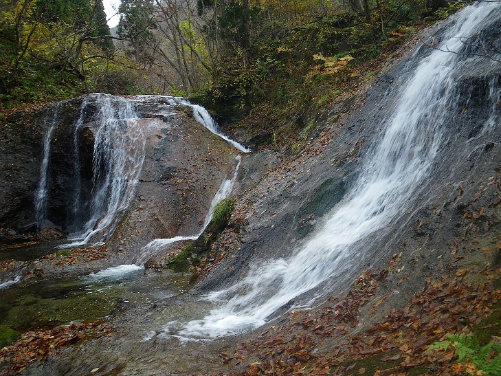 f0118332_2237545.jpg