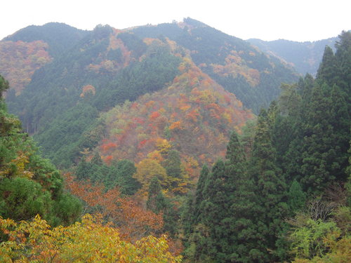 b0025633_2120549.jpg