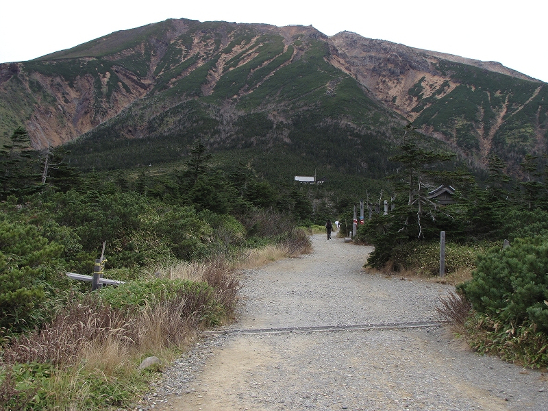 b0097836_117940.jpg