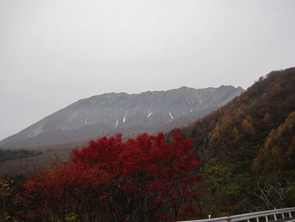 b0149340_1925050.jpg