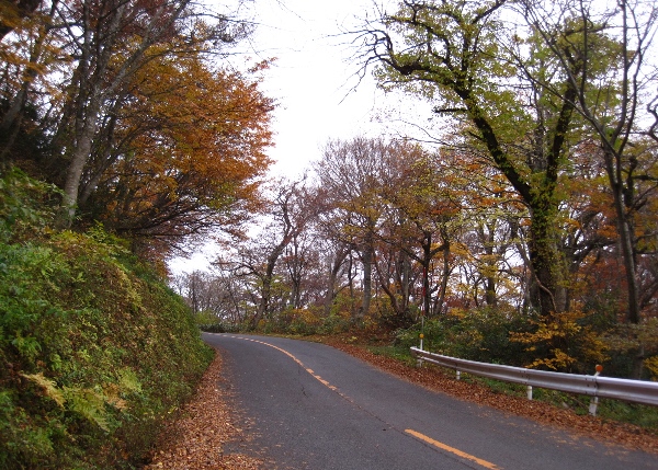 b0149340_19304749.jpg