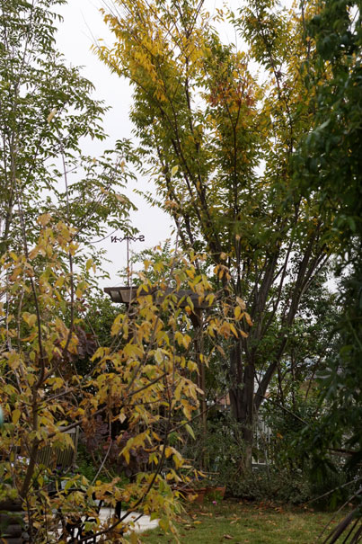 b0075541_0472685.jpg
