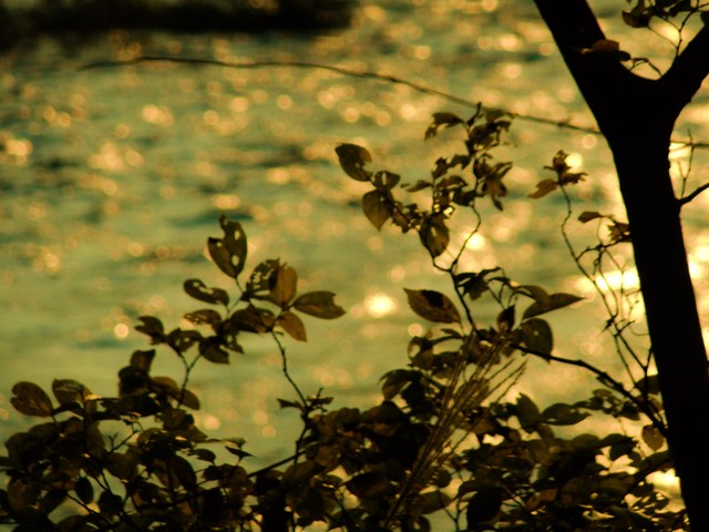 e0206242_23591730.jpg