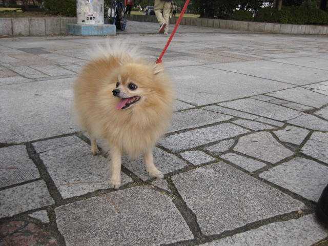 f0090344_16402279.jpg