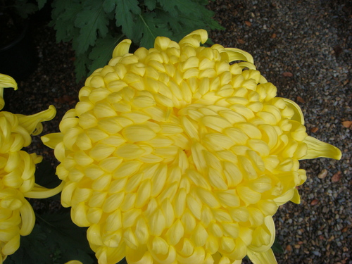 b0097645_9113976.jpg