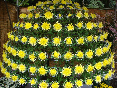 b0097645_9151372.jpg