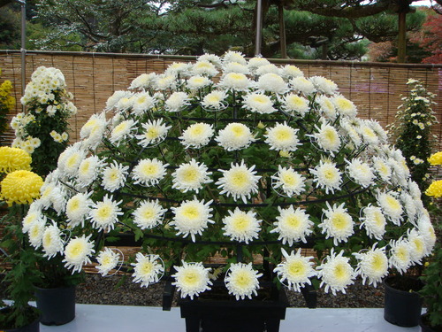 b0097645_9155799.jpg