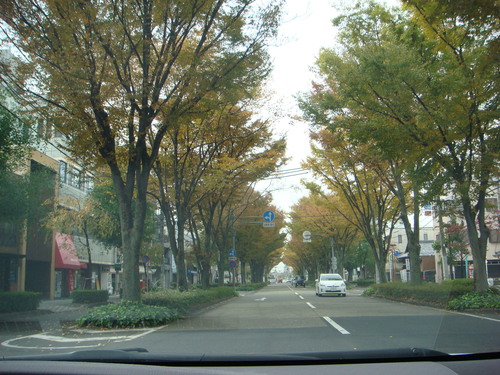 b0097645_9314471.jpg