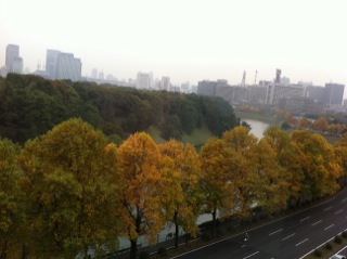 f0071647_168577.jpg
