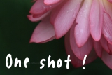 One shot !