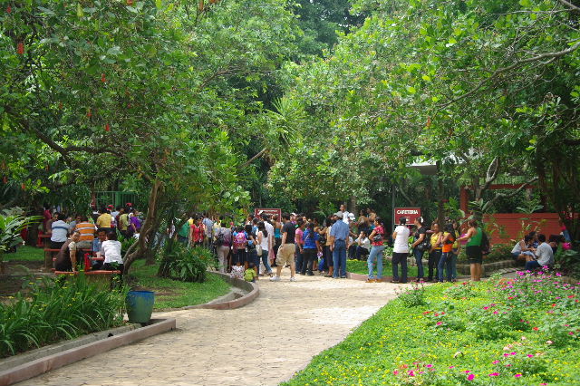 c0011649_7522637.jpg