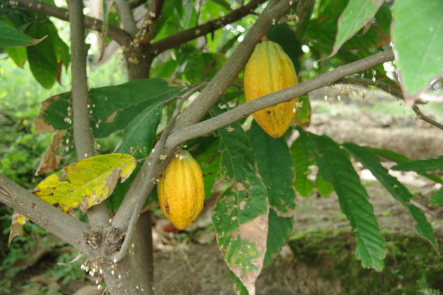 c0011649_8542927.jpg