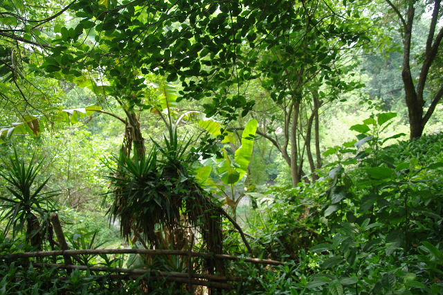 c0011649_8552975.jpg