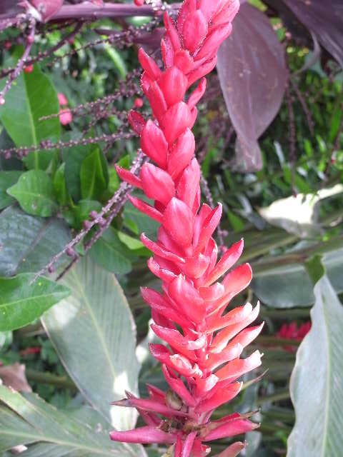 c0011649_991044.jpg