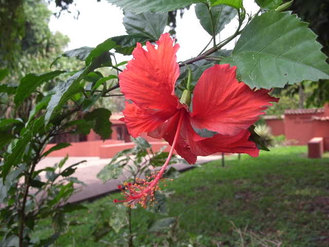 c0011649_995225.jpg