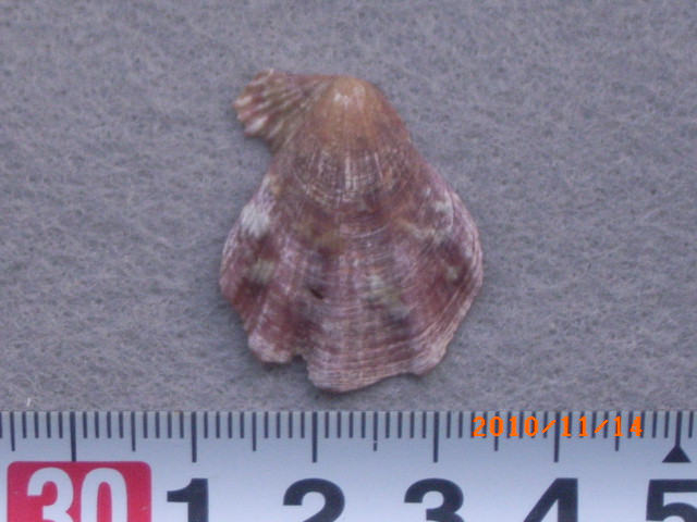 a0157451_1547871.jpg
