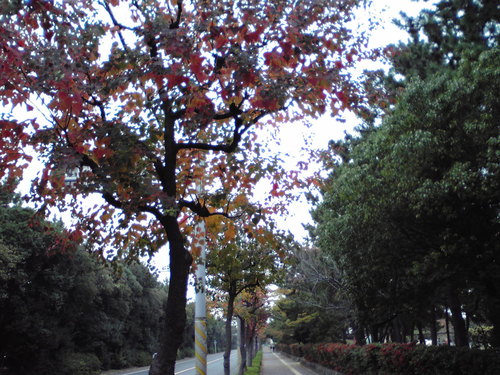 f0057955_19572232.jpg