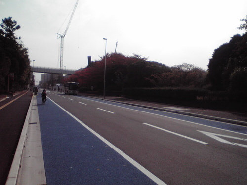 f0057955_821468.jpg