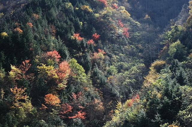 f0222161_23391359.jpg