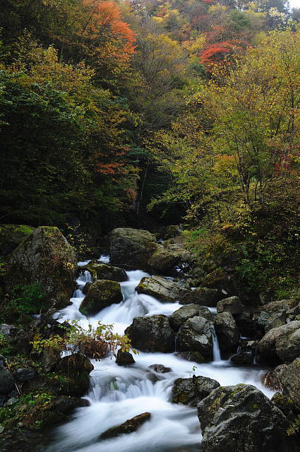 f0222161_2339303.jpg