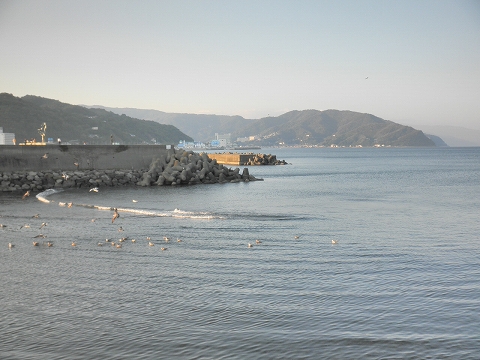 b0145863_19541271.jpg
