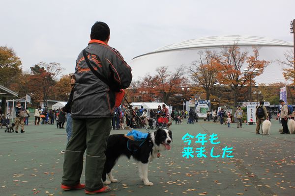 a0100564_15313725.jpg