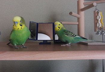 f0196665_022890.jpg