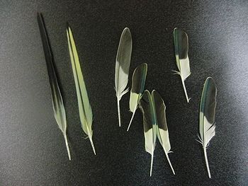 f0196665_23393563.jpg