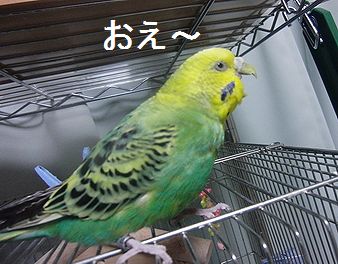 f0196665_2345822.jpg