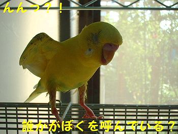 f0196665_23514737.jpg