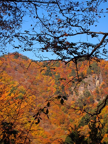 a0141366_2094119.jpg
