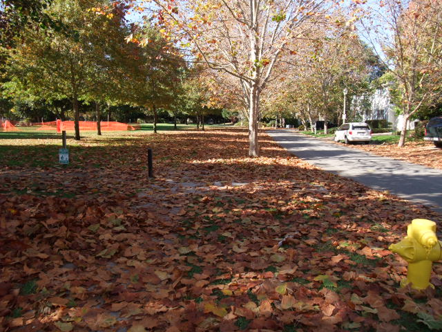c0115366_11402934.jpg